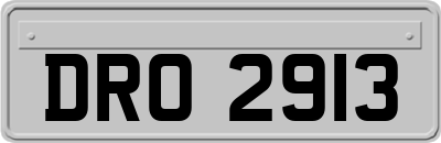DRO2913