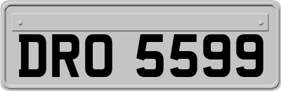 DRO5599
