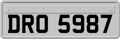 DRO5987