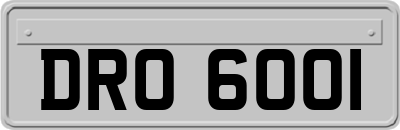 DRO6001