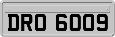 DRO6009