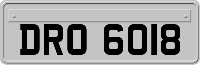DRO6018