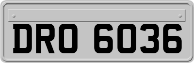 DRO6036