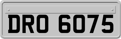DRO6075