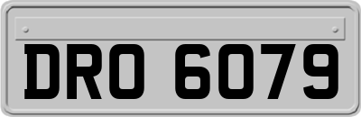 DRO6079