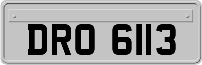 DRO6113