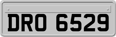 DRO6529