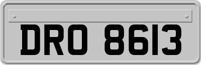 DRO8613