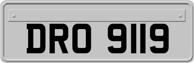 DRO9119