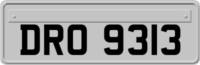 DRO9313