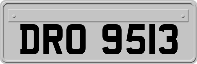 DRO9513