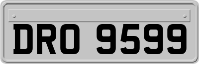 DRO9599