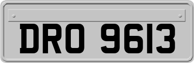 DRO9613