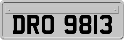 DRO9813