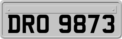 DRO9873
