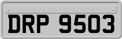 DRP9503