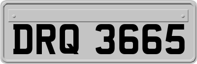 DRQ3665