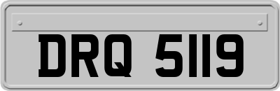DRQ5119