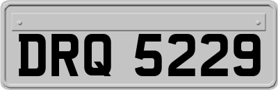 DRQ5229