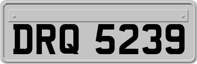 DRQ5239