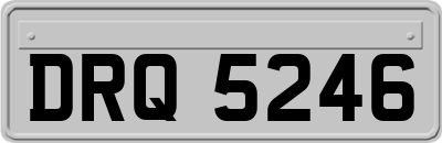 DRQ5246