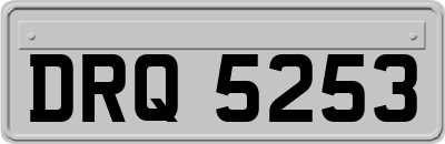 DRQ5253
