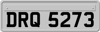 DRQ5273