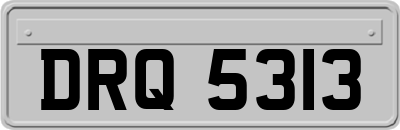 DRQ5313