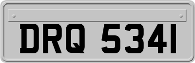 DRQ5341