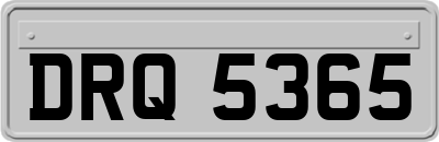 DRQ5365
