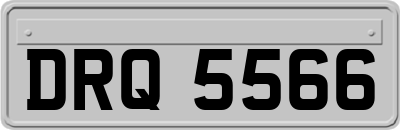 DRQ5566