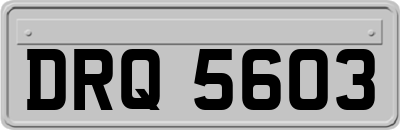 DRQ5603