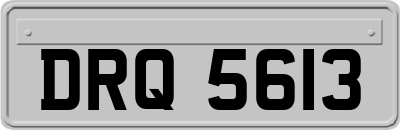 DRQ5613