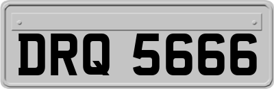 DRQ5666