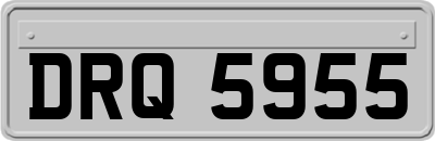 DRQ5955