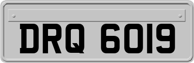 DRQ6019