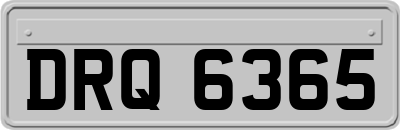 DRQ6365