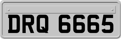 DRQ6665