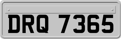 DRQ7365