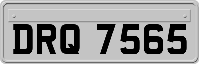 DRQ7565