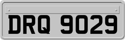 DRQ9029