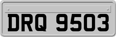 DRQ9503