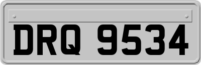 DRQ9534