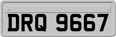 DRQ9667
