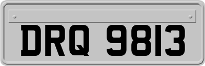 DRQ9813