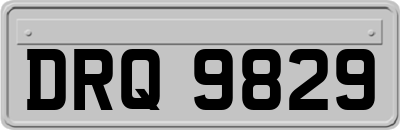 DRQ9829