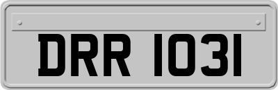 DRR1031