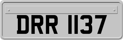DRR1137
