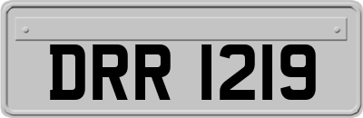 DRR1219