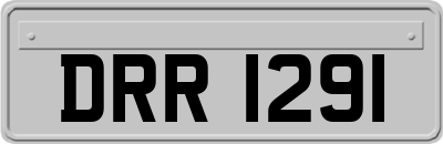 DRR1291